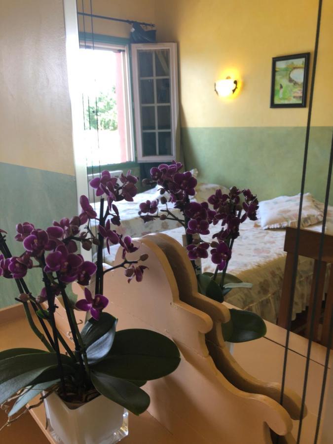 Mas De La Montille Aigues-Mortes Ngoại thất bức ảnh